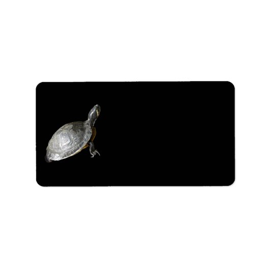 Schildkrötenanschrift Adressaufkleber (Vorne)