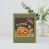 Schildkrötenbus Postkarte (Stehend Vorderseite)