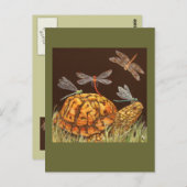 Schildkrötenbus Postkarte (Vorne/Hinten)