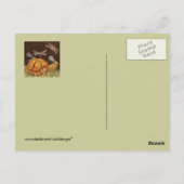 Schildkrötenbus Postkarte (Rückseite)