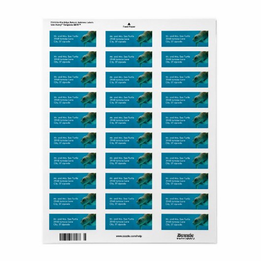 Schildkrötenetikett (Vorne)