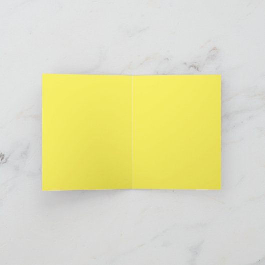 Schildkrötenkarton (Innenseite)