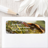 Schildkrötenkennzeichnung (Insitu)