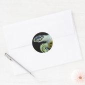 Schildkrötenkleber aus Lederrücken Runder Aufkleber (Umschlag)