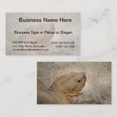 Schildkrötenkopf nah alte Schildkröte Visitenkarte (Vorne/Hinten)