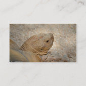 Schildkrötenkopf nah alte Schildkröte Visitenkarte (Rückseite)