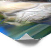 Schildkrötenkopf Poster (Ecke)