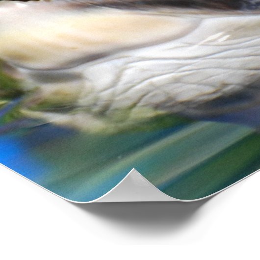 Schildkrötenkopf Poster (Ecke)