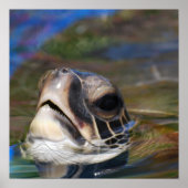 Schildkrötenkopf Poster (Vorne)