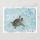 Schildkrötenlackierung Postkarte (Vorderseite)