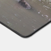 Schildkrötenmatte Schreibtischunterlage (Ecke)