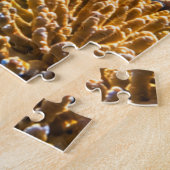 Schildkrötenparadies-Puzzle Puzzle (Seite)