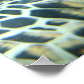 Schildkrötenposter Poster (Ecke)