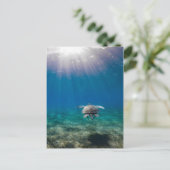 Schildkrötenreise Postkarte (Stehend Vorderseite)