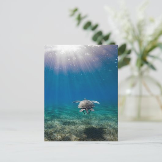 Schildkrötenreise Postkarte (Stehend Vorderseite)