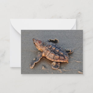 Schildkrötenschachtel Mitteilungskarte