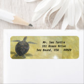 Schildkrötenschiffskennzeichnungen (Insitu)