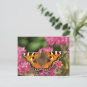 Schildkrötenschmetterling Postkarte (Stehend Vorderseite)