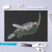 Schildkrötenschwimmbecken Foto Seidenpapier (Handwerk)