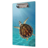 Schildkrötenschwimmen unter Wasser Klemmbrett (Links)