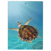 Schildkrötenschwimmen unter Wasser Klemmbrett (Rückseite)