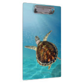Schildkrötenschwimmen unter Wasser Klemmbrett (Rechts)