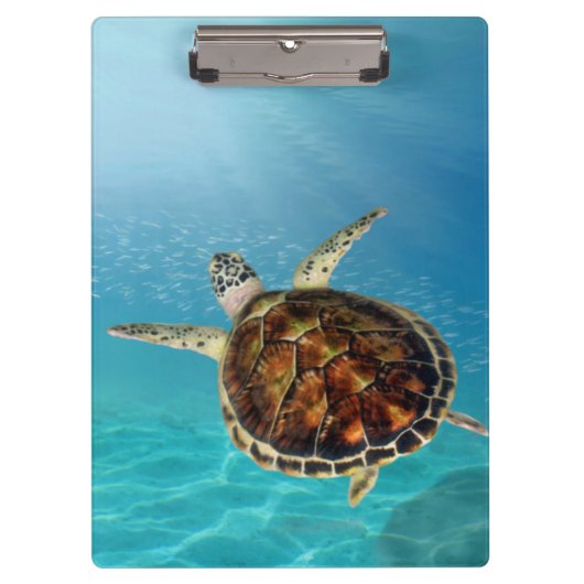 Schildkrötenschwimmen unter Wasser Klemmbrett (Vorderseite)