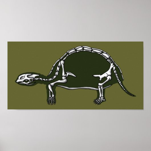 Schildkrötenskelett Poster (Vorne)