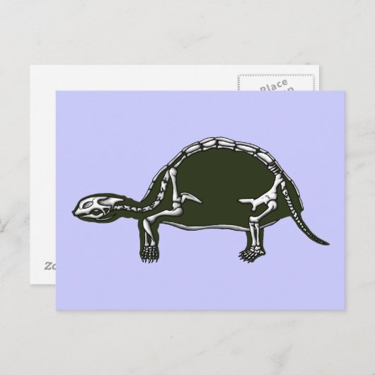 Schildkrötenskelett Postkarte (Vorne/Hinten)