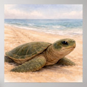 Schildkrötenstrand poster (Vorne)
