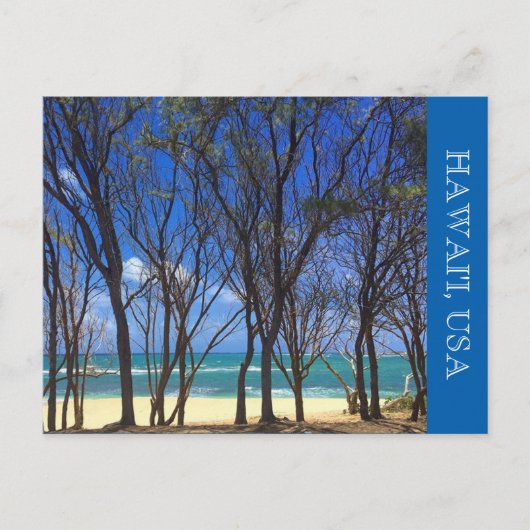 Schildkrötenstrandbäume Postkarte (Vorderseite)