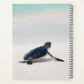 Schildkrötenstrasse Personalisierter Name | Art Planer (Rückseite)