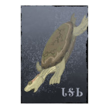 Schildkrötentauchen zu tief