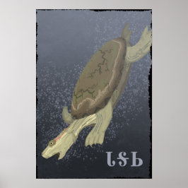 Schildkrötentauchen zu tief poster