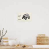 Schildkrötentrivia Poster (Küche)