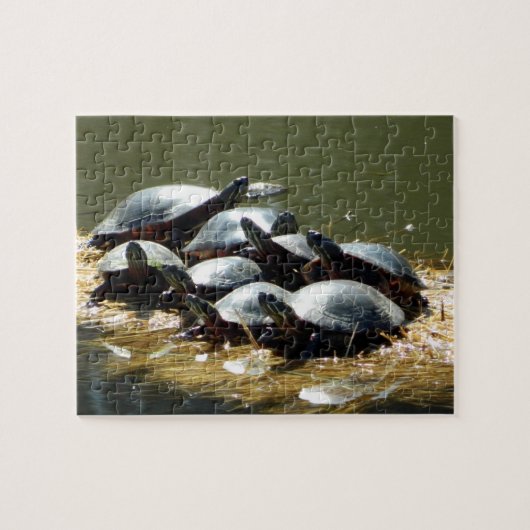 Schildkrötentrupp Puzzle (Horizontal)