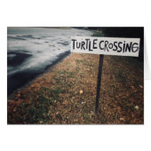 Schildkrötenüberquerung (Vorderseite (Horizontal))