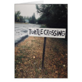 Schildkrötenüberquerung (Vorne)