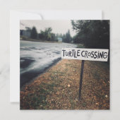 Schildkrötenüberquerung Einladung (Vorderseite)