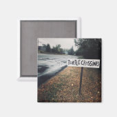 Schildkrötenüberquerung Magnet (Vorderseite/Rückseite)