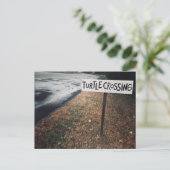Schildkrötenüberquerung Postkarte (Stehend Vorderseite)