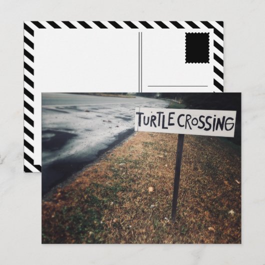 Schildkrötenüberquerung Postkarte (Vorne/Hinten)