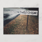 Schildkrötenüberquerung Postkarte (Vorderseite)