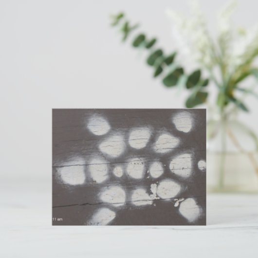 Schildkrötenüberquerung Postkarte (Stehend Vorderseite)