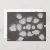 Schildkrötenüberquerung Postkarte (Vorne/Hinten)