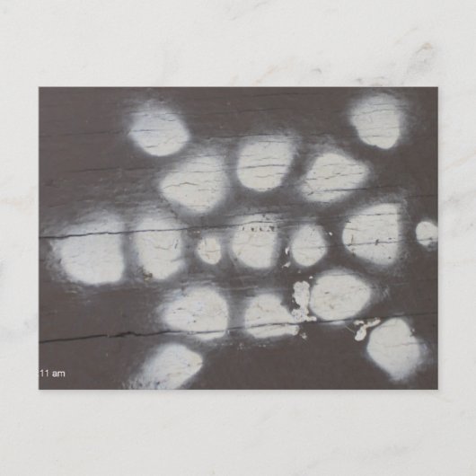 Schildkrötenüberquerung Postkarte (Vorderseite)