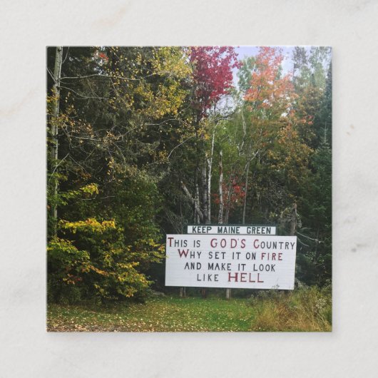 Schildkrötenüberquerung Quadratische Visitenkarte (Vorderseite)