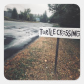 Schildkrötenüberquerung Quadratischer Aufkleber (Vorderseite)