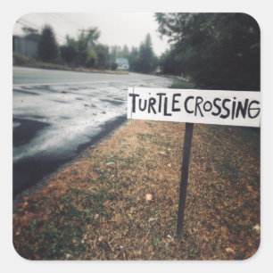 Schildkrötenüberquerung Quadratischer Aufkleber