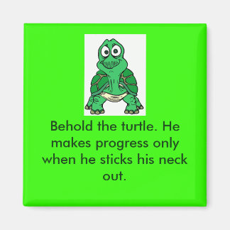 Schildkrötenwahrheit Magnet